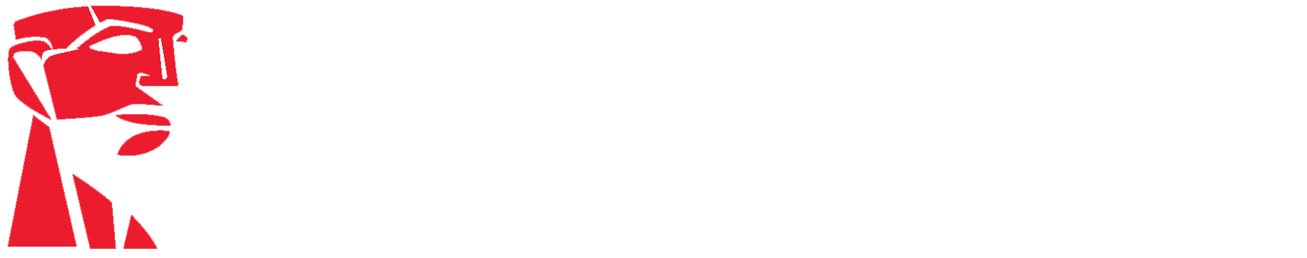 Kingston logo